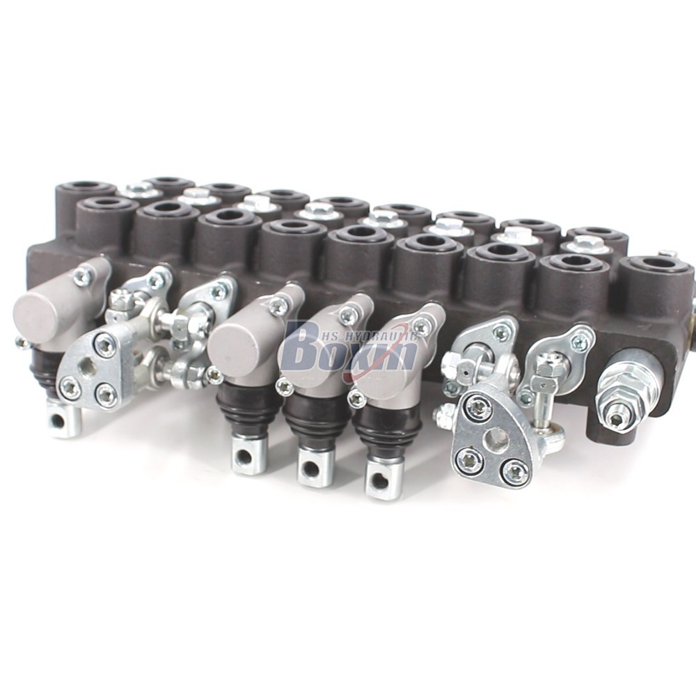 Custom OEM/ODM HSW50 8 Spool Monoblock Valve Private Label Service main image